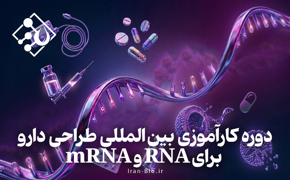 دوره کارآموزی بین المللی طراحی دارو برای RNA و mRNA